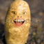 syc0 spud