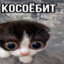шахид о нил