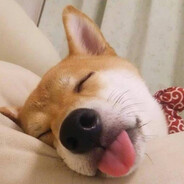 别打我我没有大电了哇