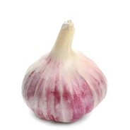 斩杀骚福瑞老母