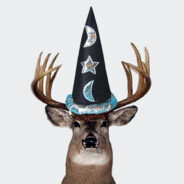 Gynekologen Finn Muusa