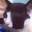 Daldric