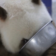 大家好，我是徐俊大