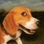 Flying Beagle