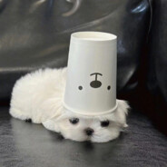 只是今天有点想你