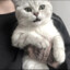 a肖不懂爱