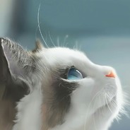 爱上19岁纯情后妈