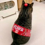 可可可乐猫