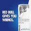 red bull master3