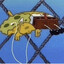 BobSponge Gaming