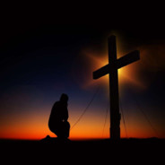 时间没到别卧草