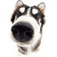 {name}'s avatar