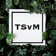 TSvM - steam id 76561198160319543