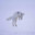 Snowfox