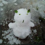 农夫山泉有点甜