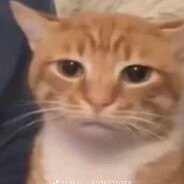 二战老兵夜袭寡妇村