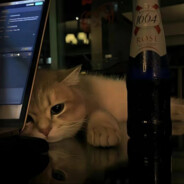 Keaiiiiiiiiiiiiiiiiiiiiiiii