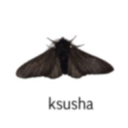 ksusha