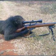 bullet in your mullet