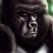 Kerchaak - steam id 76561197961402640