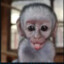 Jamala.com