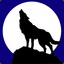 Iron Wolf