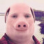 john pork