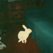 Good night Maka Baka