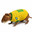 Ratão-do-Banhado