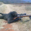 Sniper Monke