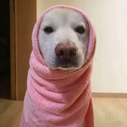 性感风骚美羊羊