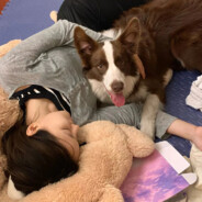 牛欣欣的游戏库