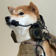 （靓仔★StatTrakᵀᴹ   ）