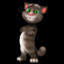 Tom govoryashiy