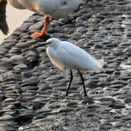 嘻嘻嘻嘻嘻嘻嘻嘻嘻嘻