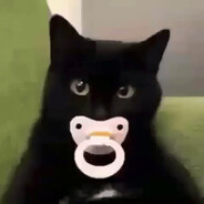 кот сасун