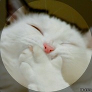 睡你妈逼起来嗨