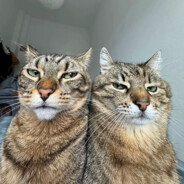 Тайлер Гарден