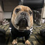 Diego’s Dog #1