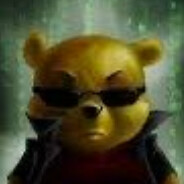 Жовтий енот