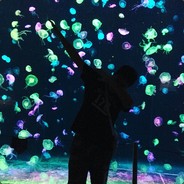 我这么帅只出现在动漫