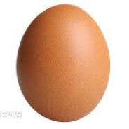 Egg