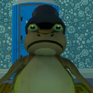 CKTheAmazingFrog avatar