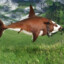 thecowfishman