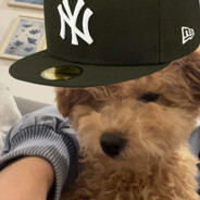 JanKokos - steam id 76561199515585972