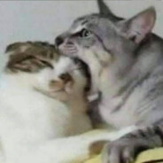 Bye