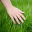 TOUCHGRASS.jpg