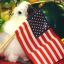 A Patriotic Bird