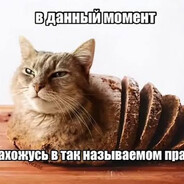 HLPR - steam id 76561198785908768