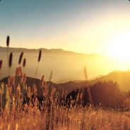 不玩的暂停界面直接退